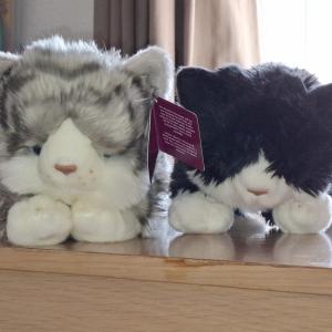 “Just have to say a big thank you for our Fast Entry Raffle cuddly cat. We have named him Charlie after the tabby we once had. As you can see, he is together with Felix, also a Cats Protection gift.” Simon Bodmer – Fast Entry cuddly cat winner