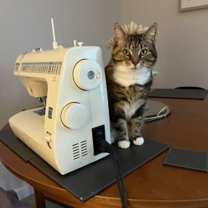 Joyce Simpson, £5 Weekly Lottery winner “The £5 win will go on treats for my wee cat, Evie. I got her just over two years ago from Cats Protection in Kirkintilloch. I'm so happy I have her. She is great company and lots of fun.”