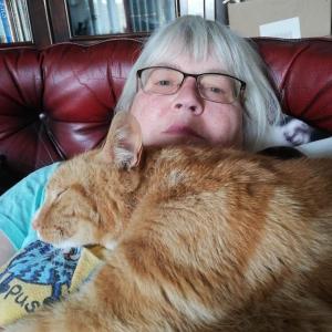 Carolyn Potter, £10 Christmas Raffle winner “It was such a surprise to win a prize on the Cat Lovers Raffle. Knowing that I was helping cats. This is my lovely friendly cat, Jerry, who is about 11 years old.”