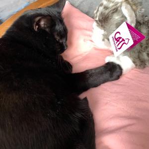 Jo Smith’s Fast Entry cuddly cat, who she has named Cuddles, with Boudicca.